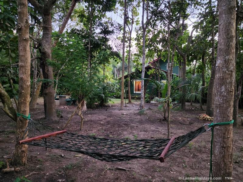 Rear garden with Hammock & Garden seats